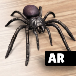 AR Spiders & Co