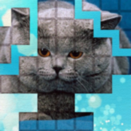 PicPu - Cat Picture Puzzle