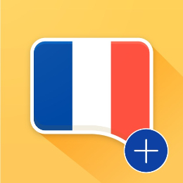 French Verb Conjugator Pro